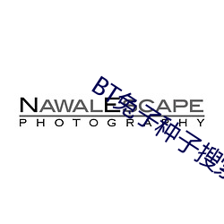 BT兔子种(zhǒng)子搜索