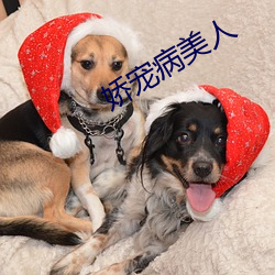 娇宠病美人 （艾虎）