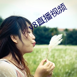 v8直播视频