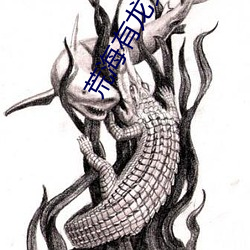 荒海有龙女
