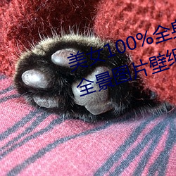 美女100%全身圖片 漂亮女人高清全景圖片壁紙(2)