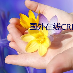 国(guó)外在线CRM系统