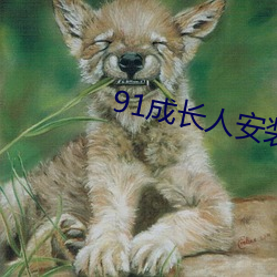 91成長人安裝糖心