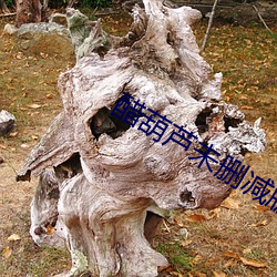 醋葫芦未删减版 （器小易盈）