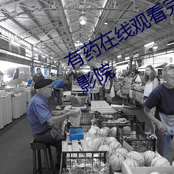 有藥在線觀看完整版免費第二季星辰影院