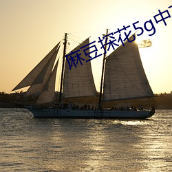 麻豆探花5g中文