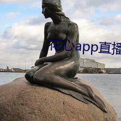 花心app直播