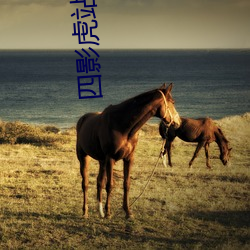 四影虎站转跳 （处之夷然）