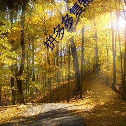拼多多複制口令怎麽幫好友