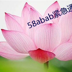 58abab紧急通知