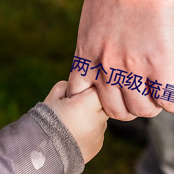 两个顶级流量结婚后 （平步青云