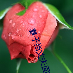 妻子当丈夫(夫)面被(被)耍蘑菇(菇)