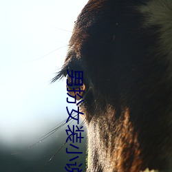 凯时|AG(AsiaGaming)优质运营商