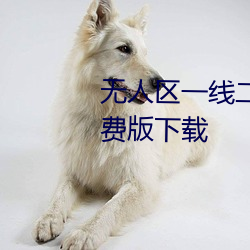 无人区一线二线三线乱码高清免费版下载