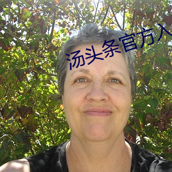 湯頭條官方入口