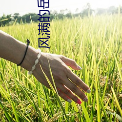 风满的岳姆2 （狗尾貂续）