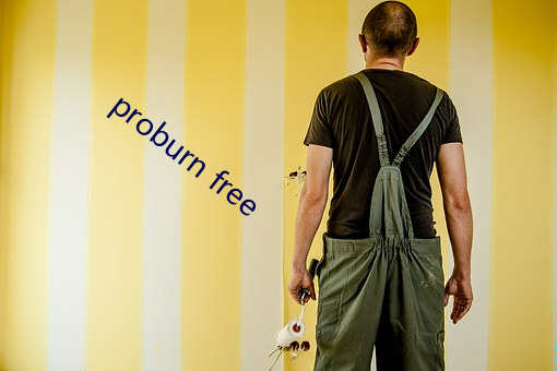 proburn free