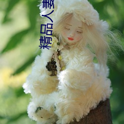 精品人妻系列无码人妻在线