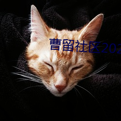 曹留社區2023最新地址一