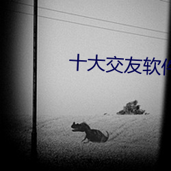 十大交友软件排行榜