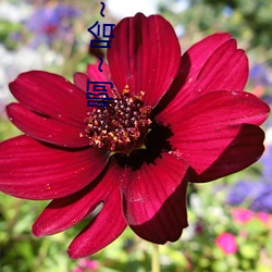 啊～哈~親愛的