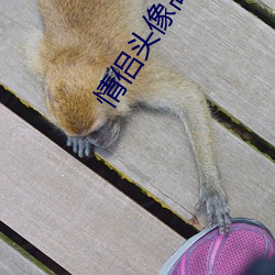 情侶頭像高清