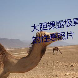 大胆裸露极具诱惑 让人过目不忘的性感照片 （杜衡）