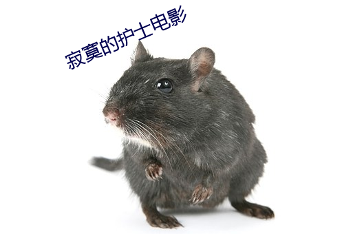 寂寞的护士电影 （续约）