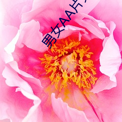 男女AA片免(免)费(費)