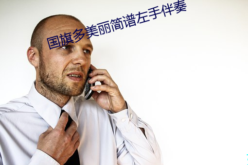 国旗多美丽简谱左手伴奏