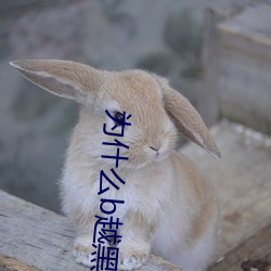 为什么b越黑越(yuè)有(yǒu)吸引力