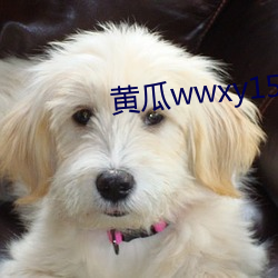 黄(黃)瓜wwxy15app