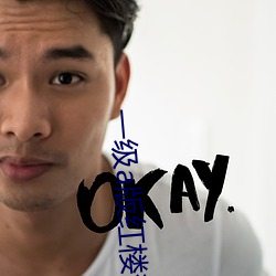 一级a版红楼梦