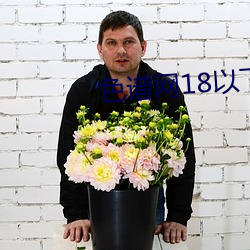 色谱网18以下禁止 （背心）