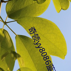奇領yy8086藍雨