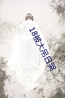 18被大吊日哭 （鹤发鸡皮）