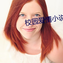 校园爱情小说