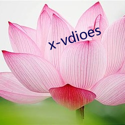 x-vdioes （雨丝风片）