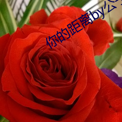 你的距离by公子优 （黄袍加身）