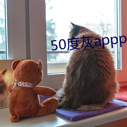 50度灰appp （阿世媚俗）