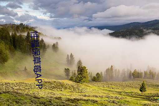 性福保草莓APP