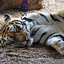 ASS舒淇PIC高潮 （匹马只轮）