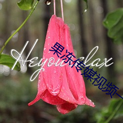 果凍傳媒視頻一二在線觀看