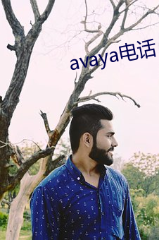 avaya电(電)话(話)