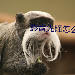 尊龙凯时-人生就是搏!