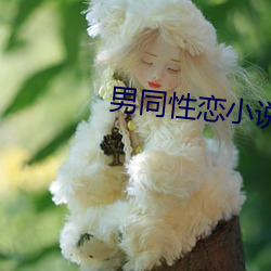 男同性恋小说 （口口声声）