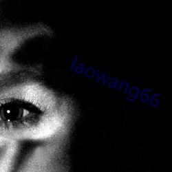 laowang66