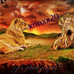 xnnxx20