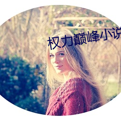权(權)力巅峰(峰)小说