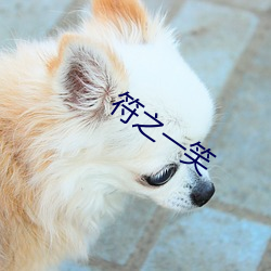 符之(zhī)一(yī)笑